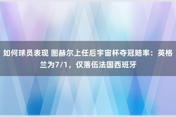 如何球员表现 图赫尔上任后宇宙杯夺冠赔率：英格兰为7/1，仅落伍法国西班牙