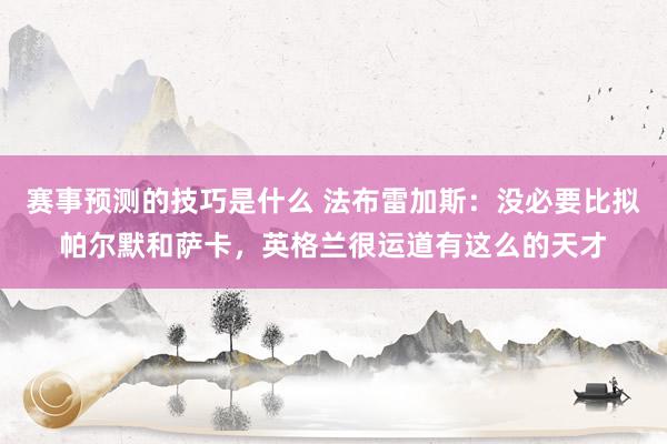 赛事预测的技巧是什么 法布雷加斯：没必要比拟帕尔默和萨卡，英格兰很运道有这么的天才