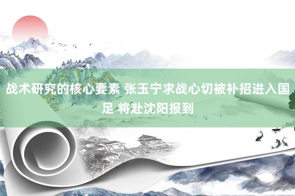 战术研究的核心要素 张玉宁求战心切被补招进入国足 将赴沈阳报到