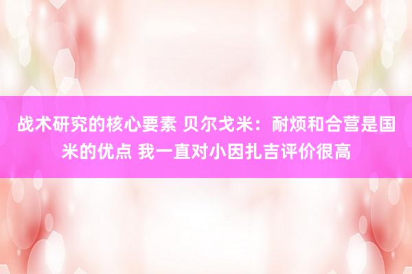 战术研究的核心要素 贝尔戈米：耐烦和合营是国米的优点 我一直对小因扎吉评价很高