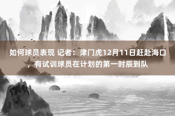 如何球员表现 记者：津门虎12月11日赶赴海口，有试训球员在计划的第一时辰到队