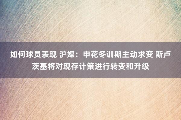 如何球员表现 沪媒：申花冬训期主动求变 斯卢茨基将对现存计策进行转变和升级