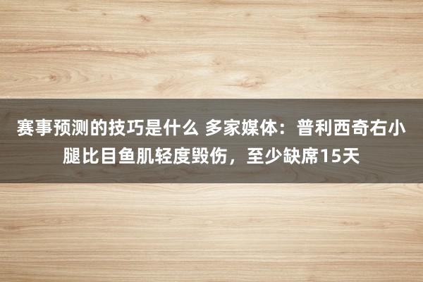 赛事预测的技巧是什么 多家媒体：普利西奇右小腿比目鱼肌轻度毁伤，至少缺席15天