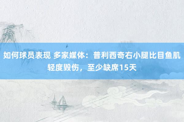 如何球员表现 多家媒体：普利西奇右小腿比目鱼肌轻度毁伤，至少缺席15天