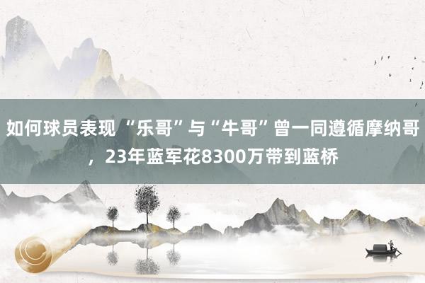 如何球员表现 “乐哥”与“牛哥”曾一同遵循摩纳哥，23年蓝军