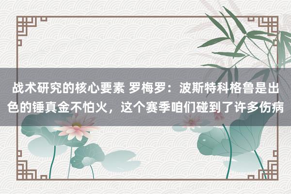 战术研究的核心要素 罗梅罗：波斯特科格鲁是出色的锤真金不怕火，这个赛季咱们碰到了许多伤病