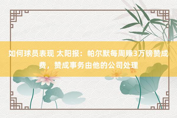 如何球员表现 太阳报：帕尔默每周赚3万镑赞成费，赞成事务由他的公司处理