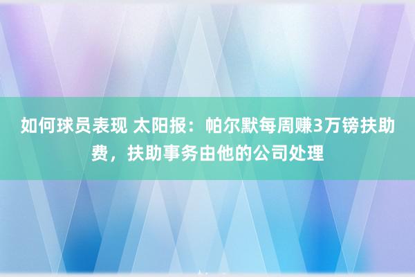 如何球员表现 太阳报：帕尔默每周赚3万镑扶助费，扶助事务由他的公司处理