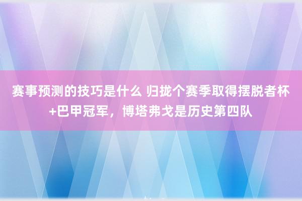 赛事预测的技巧是什么 归拢个赛季取得摆脱者杯+巴甲冠军，博塔弗戈是历史第四队