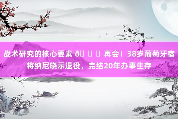 战术研究的核心要素 👋再会！38岁葡萄牙宿将纳尼晓示退役，完结20年办事生存